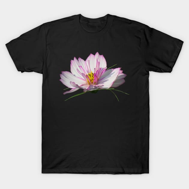 unique pink flower, blooms, flowers, petal T-Shirt by rh_naturestyles